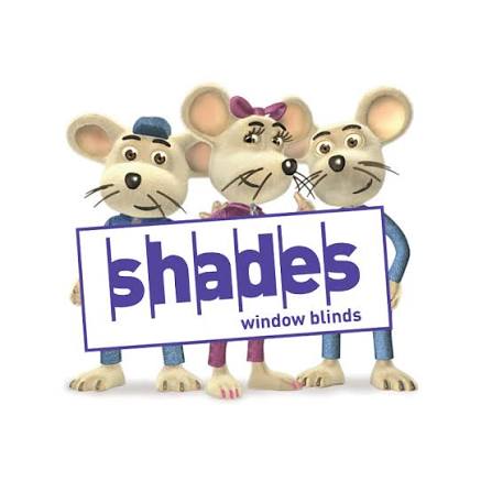 Shades Window Blinds
